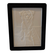 Laddar bild till gallerivisning, Kæledyrs lysbillede i ramme Plakana