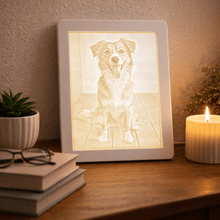 Laddar bild till gallerivisning, Kæledyrs lysbillede i ramme Plakana