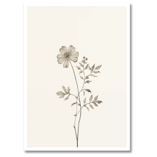 Laddar bild till gallerivisning, Aesthetic Flower Plakat Plakana 21x30 cm (A4) Hvid Egetræ