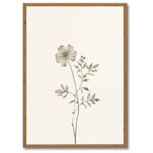 Laddar bild till gallerivisning, Aesthetic Flower Plakat Plakana 21x30 cm (A4) Mørk egetræ