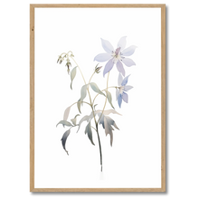Laddar bild till gallerivisning, Delicate Wildflower Plakat