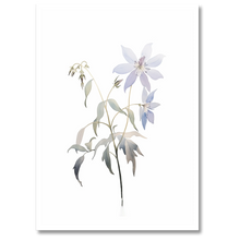 Laddar bild till gallerivisning, Delicate Wildflower Plakat