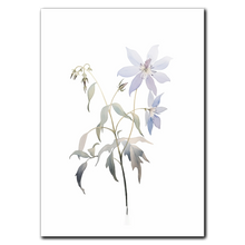 Laddar bild till gallerivisning, Delicate Wildflower Plakat