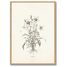 Laddar bild till gallerivisning, Floral Poetry Plakat Plakana 21x30 cm (A4) Egetræ