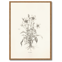 Laddar bild till gallerivisning, Floral Poetry Plakat Plakana 21x30 cm (A4) Mørk egetræ