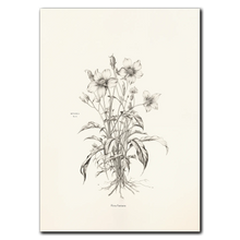 Laddar bild till gallerivisning, Floral Poetry Plakat Plakana 21x30 cm (A4) Ingen ramme