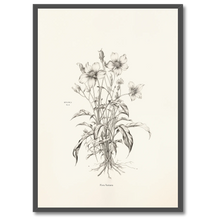 Laddar bild till gallerivisning, Floral Poetry Plakat Plakana 21x30 cm (A4) Sort egetræ