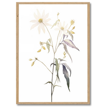 Laddar bild till gallerivisning, Floral Forms Plakat