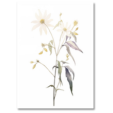 Laddar bild till gallerivisning, Floral Forms Plakat