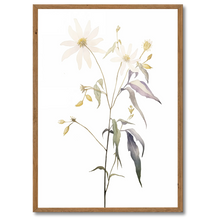 Laddar bild till gallerivisning, Floral Forms Plakat