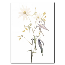 Laddar bild till gallerivisning, Floral Forms Plakat