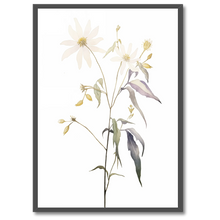 Laddar bild till gallerivisning, Floral Forms Plakat