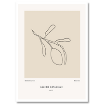 Laddar bild till gallerivisning, Gallerie Botanique No. 1 Plakat Plakana 21x30 cm (A4) Hvid Egetræ