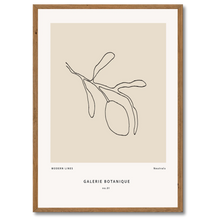 Laddar bild till gallerivisning, Gallerie Botanique No. 1 Plakat Plakana 21x30 cm (A4) Mørk egetræ