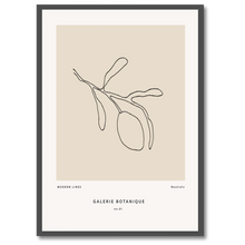 Laddar bild till gallerivisning, Gallerie Botanique No. 1 Plakat Plakana 21x30 cm (A4) Sort egetræ