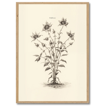 Laddar bild till gallerivisning, Wildflower Plakat Plakana 21x30 cm (A4) Egetræ