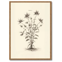 Laddar bild till gallerivisning, Wildflower Plakat Plakana 21x30 cm (A4) Mørk egetræ