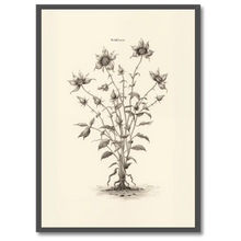Laddar bild till gallerivisning, Wildflower Plakat Plakana 21x30 cm (A4) Sort egetræ