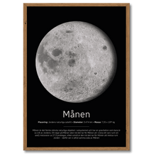 Laddar bild till gallerivisning, Måne Poster