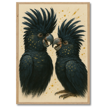 Laddar bild till gallerivisning, Sorte kakaduer plakat Plakana 21x30 cm (A4) Egetræ