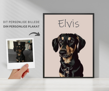 Laddar bild till gallerivisning, Kæledyrs portræt Plakana