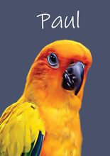 Laddar bild till gallerivisning, Kæledyrs portræt Plakana