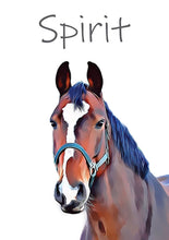 Laddar bild till gallerivisning, Kæledyrs portræt Plakana