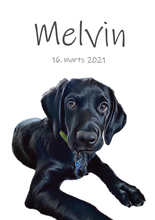 Laddar bild till gallerivisning, Kæledyrs portræt Plakana