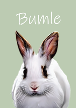 Laddar bild till gallerivisning, Kæledyrs portræt Plakana