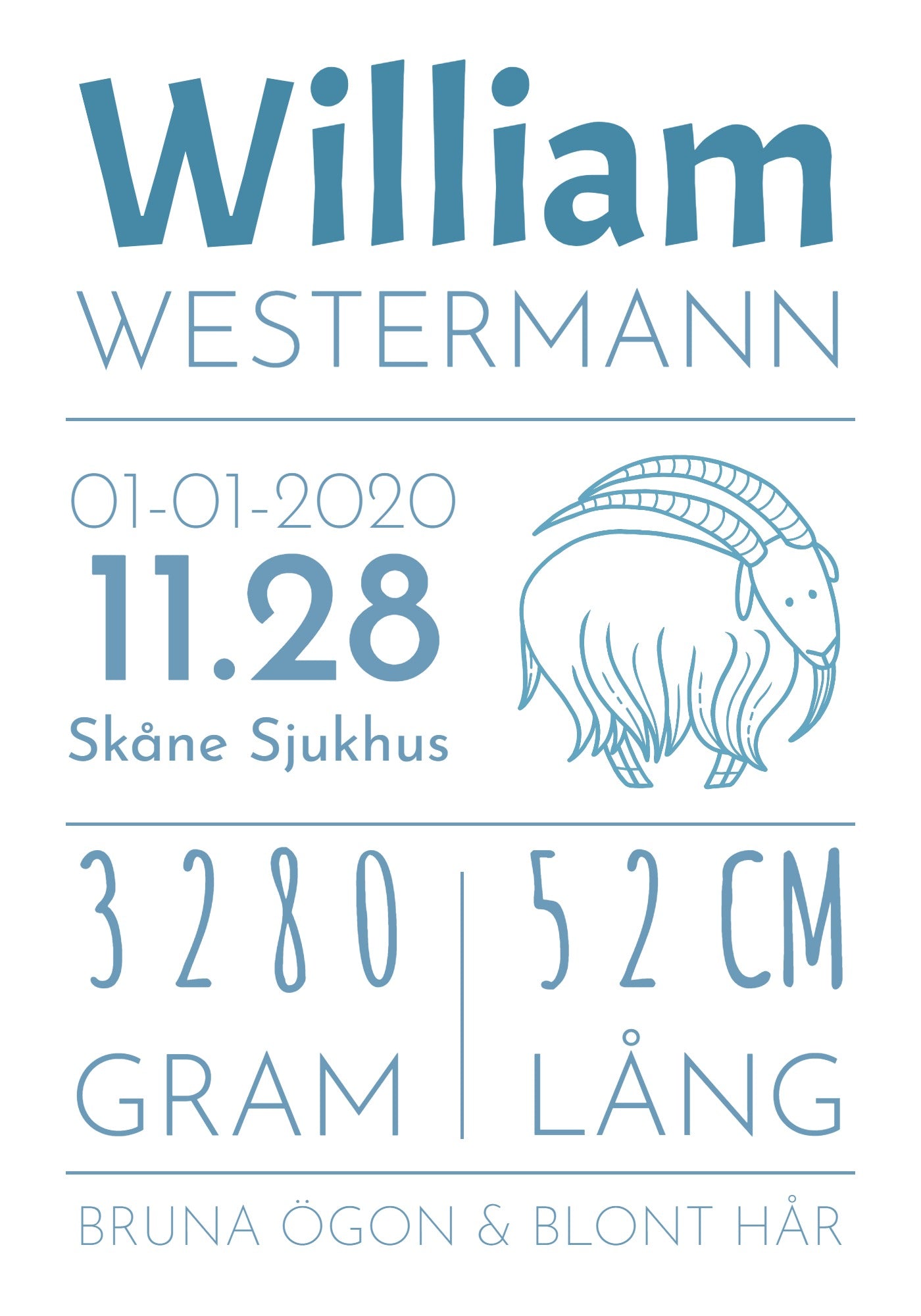 Födelseposter med stjärntecken 21x30cm (A4)