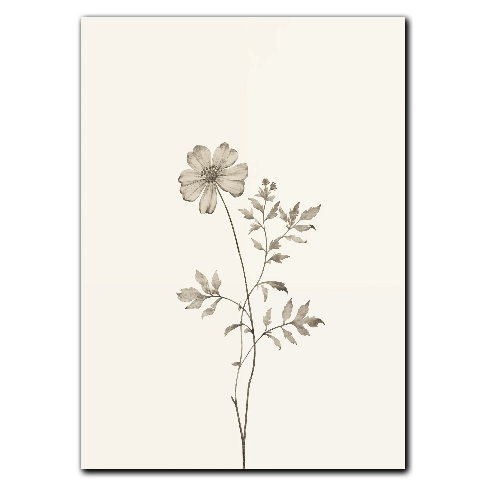 Aesthetic Flower Plakat 21x30 cm (A4) / Ingen ramme