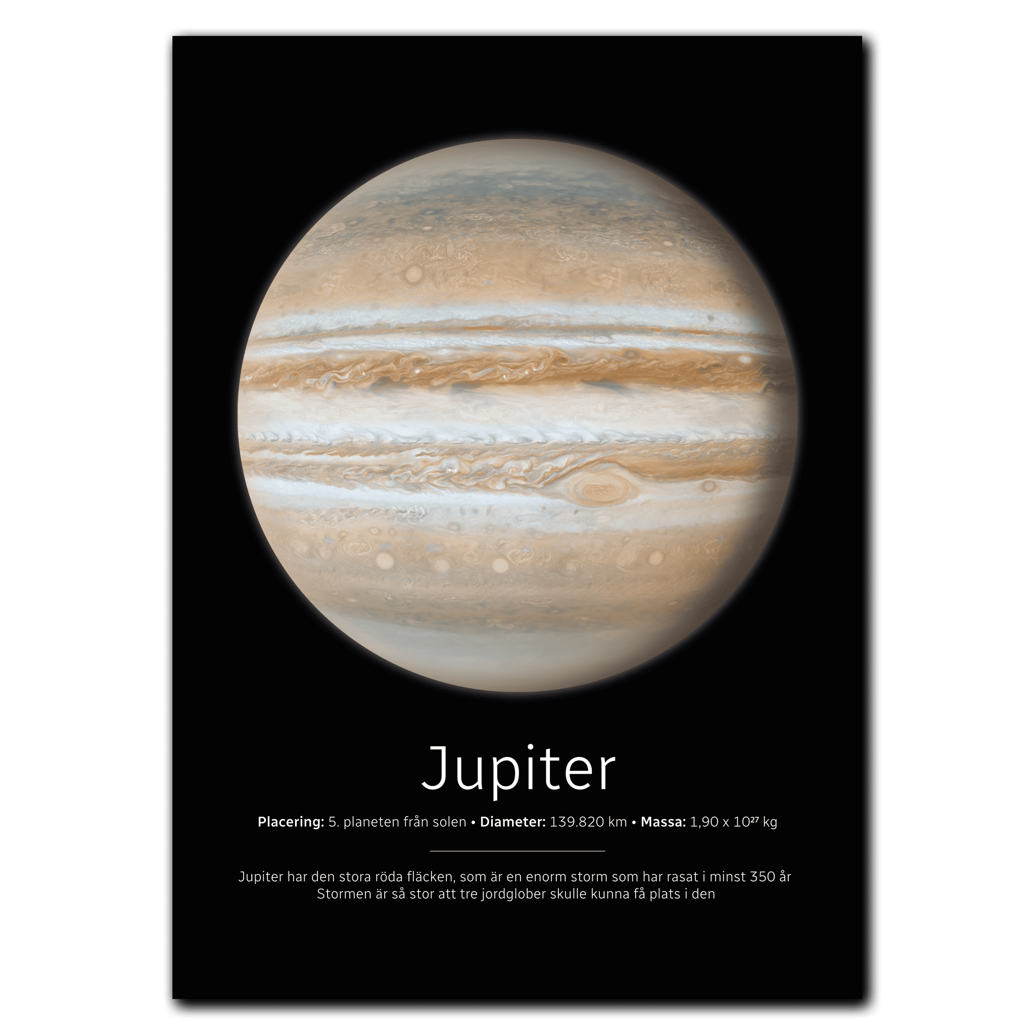Jupiter Poster 35x50 cm (B3) / Sort egetræ