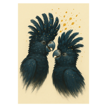 Laddar bild till gallerivisning, Kakaduer duo plakat Plakana 21x30 cm (A4) Ingen ramme
