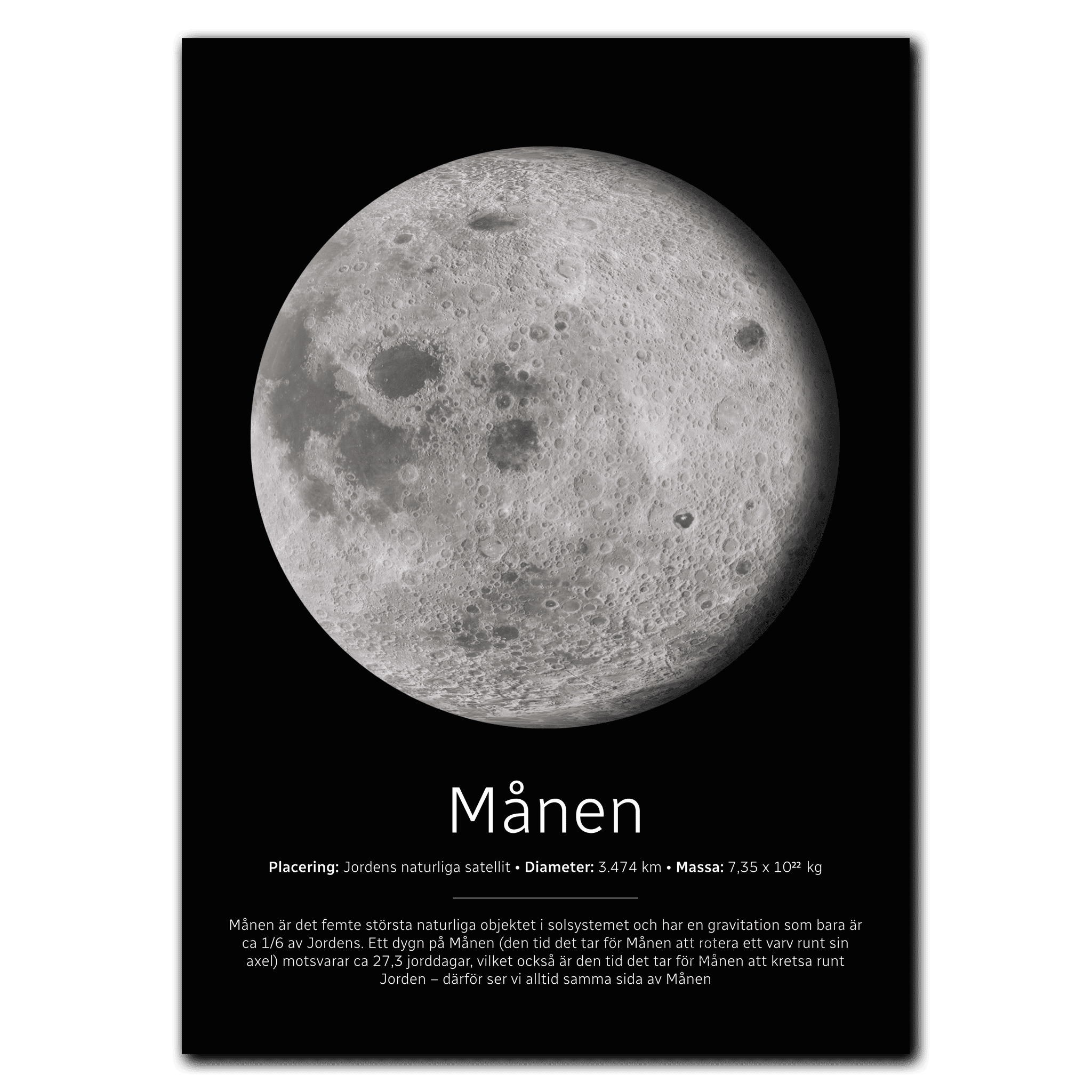 Måne Poster 35x50 cm (B3) / Mørk egetræ
