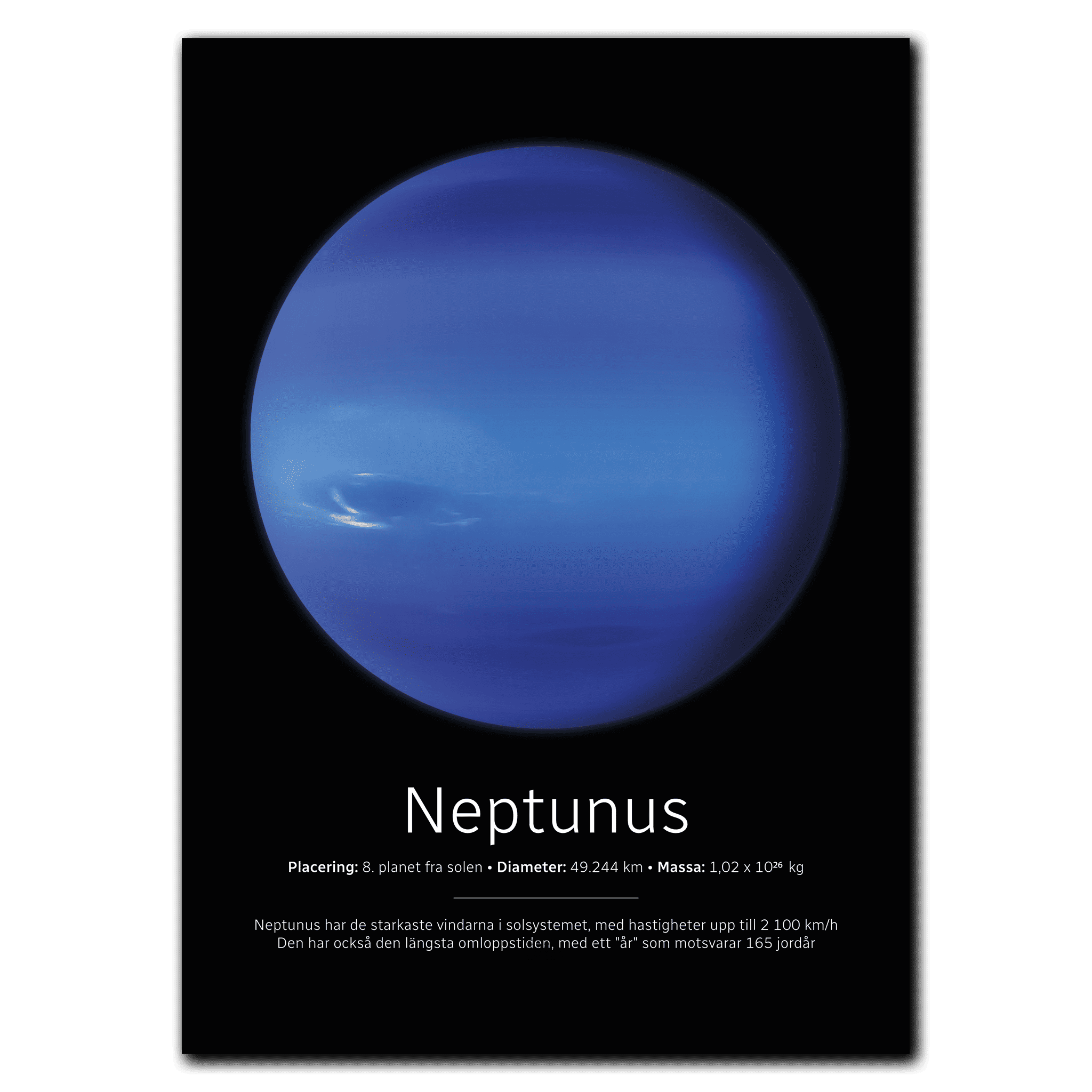 Neptunus Poster 60x84 cm (A1) / Sort egetræ