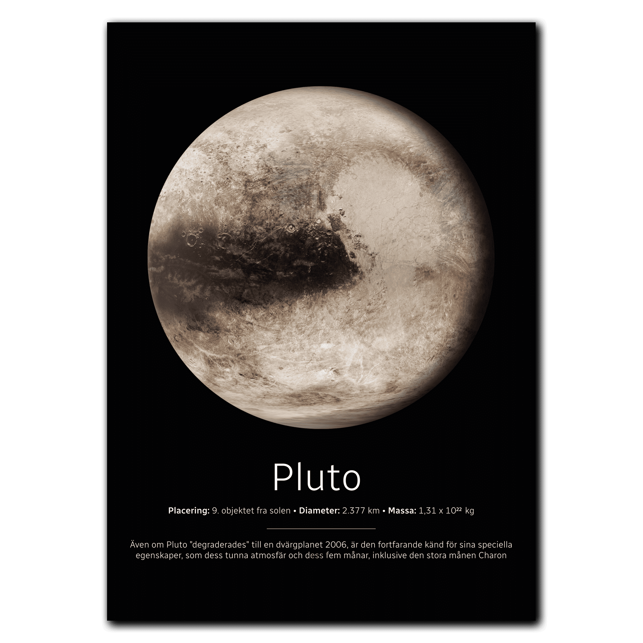 Pluto Poster 60x84 cm (A1) / Egetræ