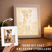 Laddar bild till gallerivisning, Kæledyrs lysbillede i ramme Plakana
